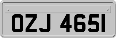OZJ4651