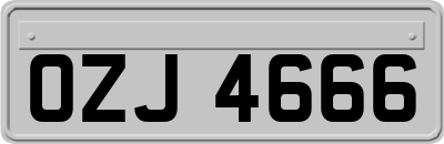 OZJ4666