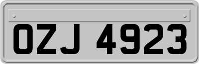 OZJ4923