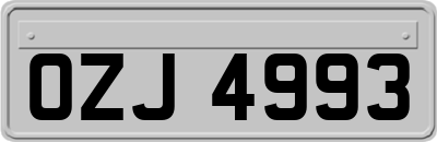 OZJ4993