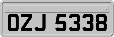 OZJ5338