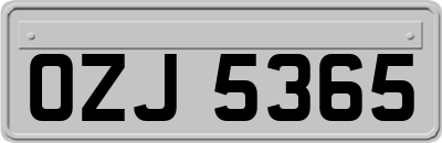OZJ5365