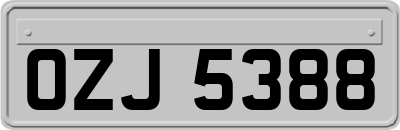OZJ5388