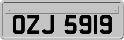 OZJ5919