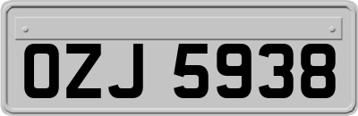 OZJ5938
