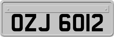 OZJ6012