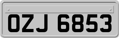 OZJ6853