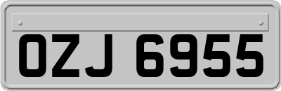 OZJ6955