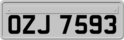 OZJ7593
