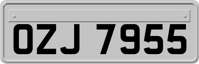 OZJ7955
