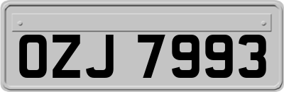 OZJ7993