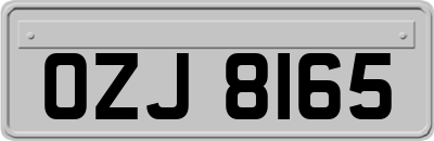 OZJ8165