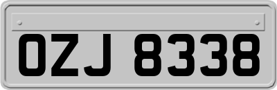 OZJ8338