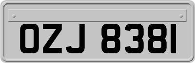OZJ8381