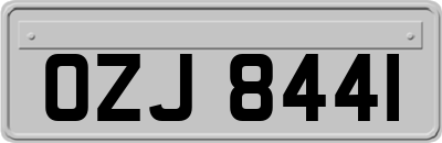 OZJ8441
