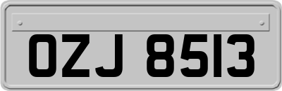 OZJ8513