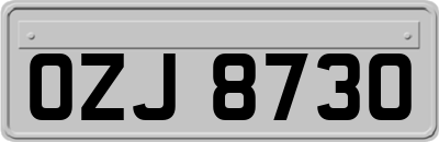 OZJ8730