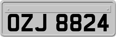 OZJ8824