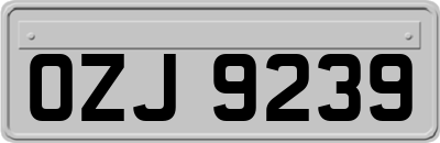 OZJ9239