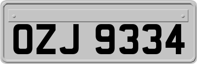 OZJ9334