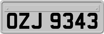 OZJ9343