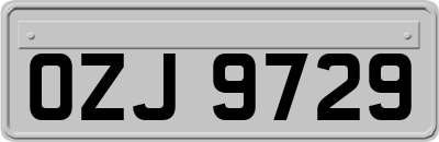 OZJ9729