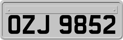 OZJ9852
