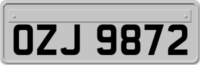 OZJ9872