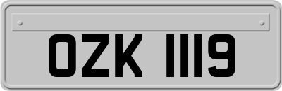 OZK1119