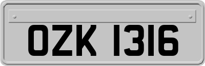 OZK1316