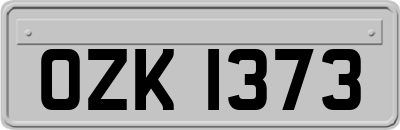 OZK1373