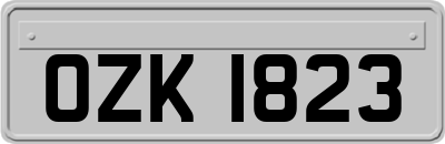 OZK1823