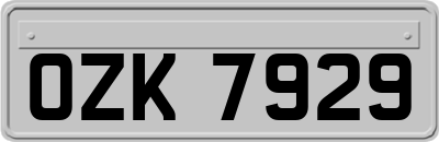 OZK7929