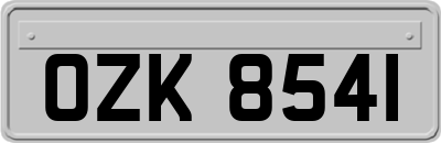 OZK8541