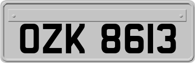 OZK8613