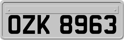 OZK8963