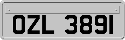 OZL3891