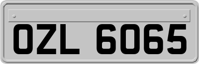 OZL6065