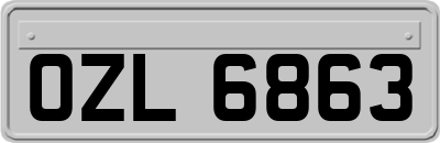OZL6863
