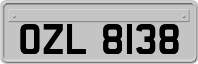 OZL8138