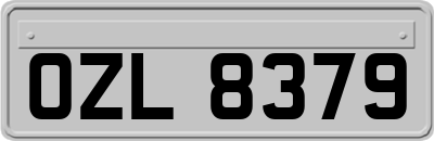 OZL8379