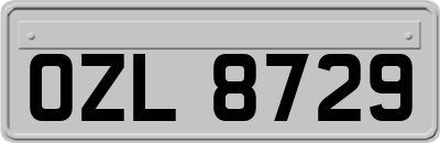 OZL8729