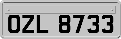 OZL8733