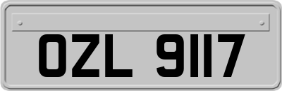 OZL9117