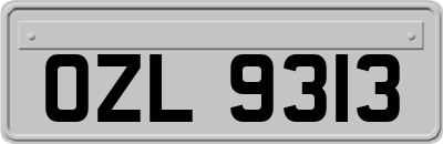 OZL9313