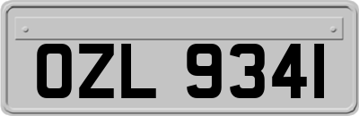 OZL9341