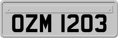 OZM1203