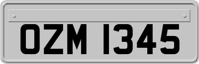 OZM1345