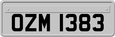 OZM1383