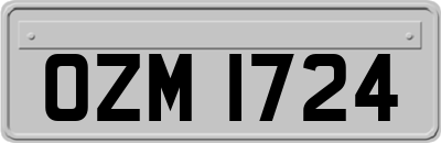 OZM1724